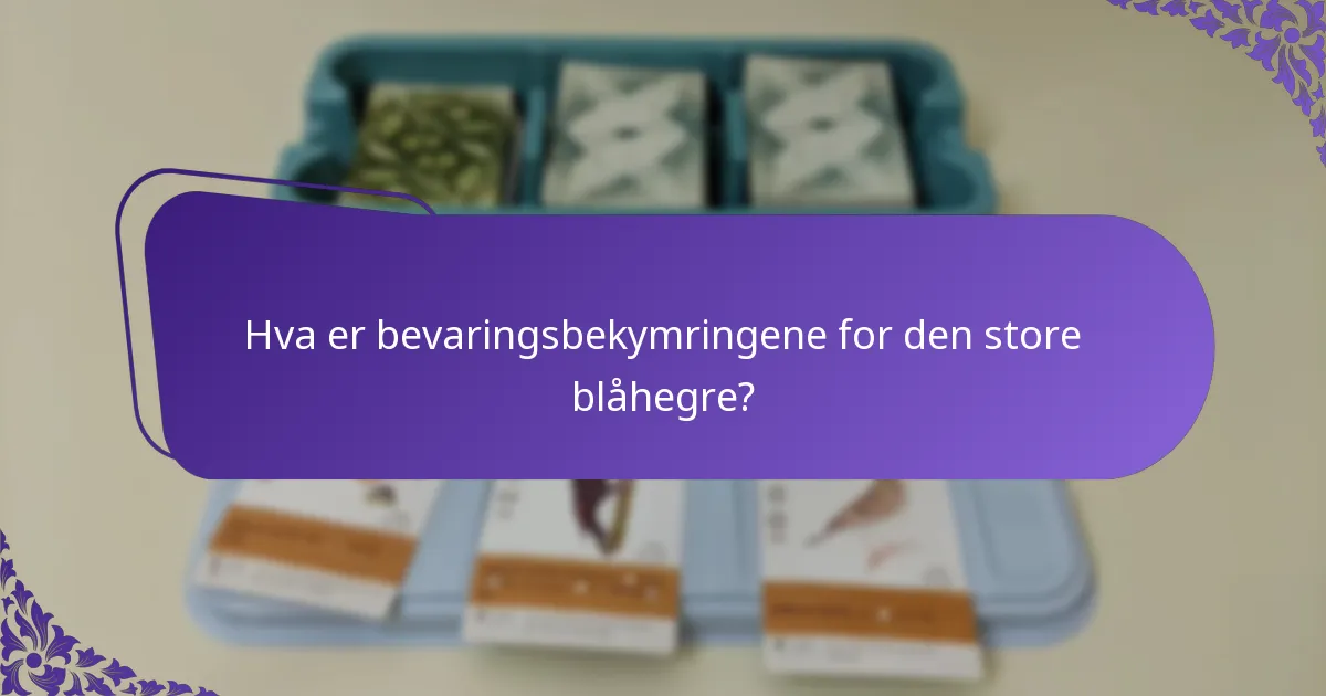Hvor lever den store blåhegre?