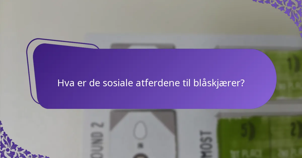 Hvor lever blåskjærer vanligvis?