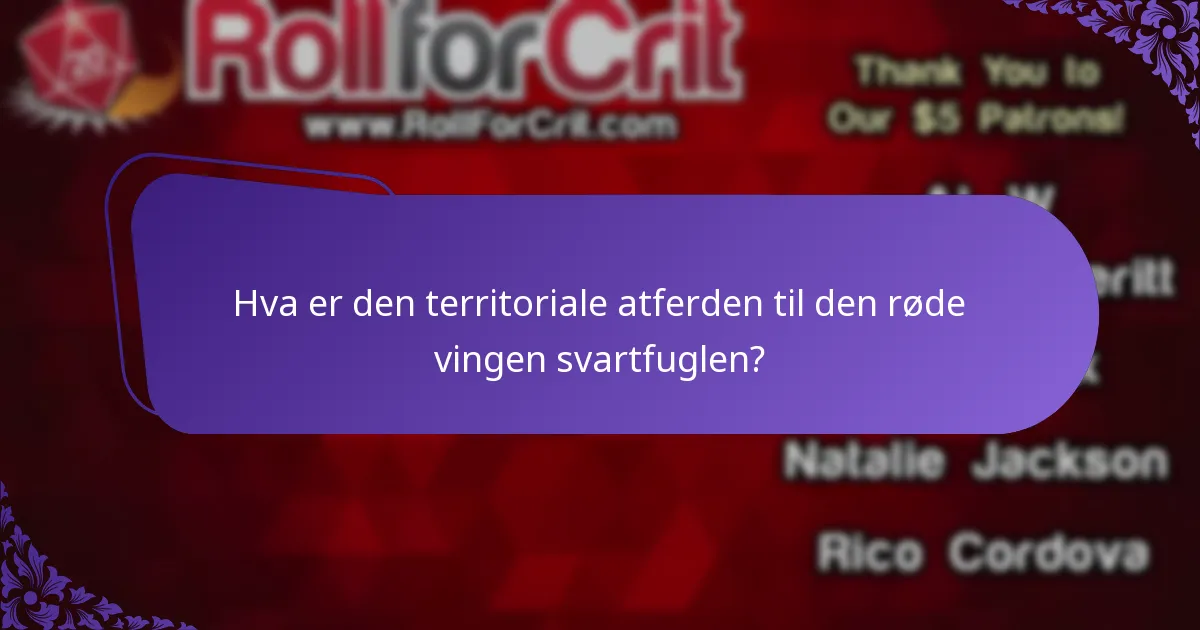 Hva er habitatet til den røde vingen svartfuglen?