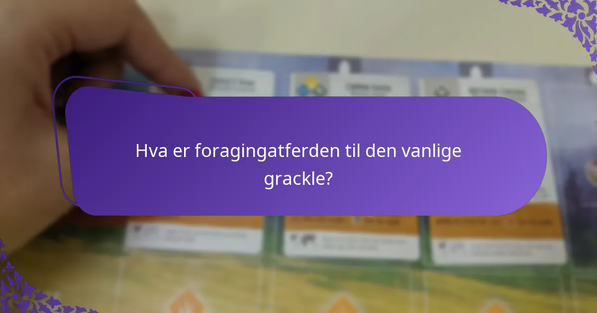 Hvilke habitater foretrekker den vanlige grackle?