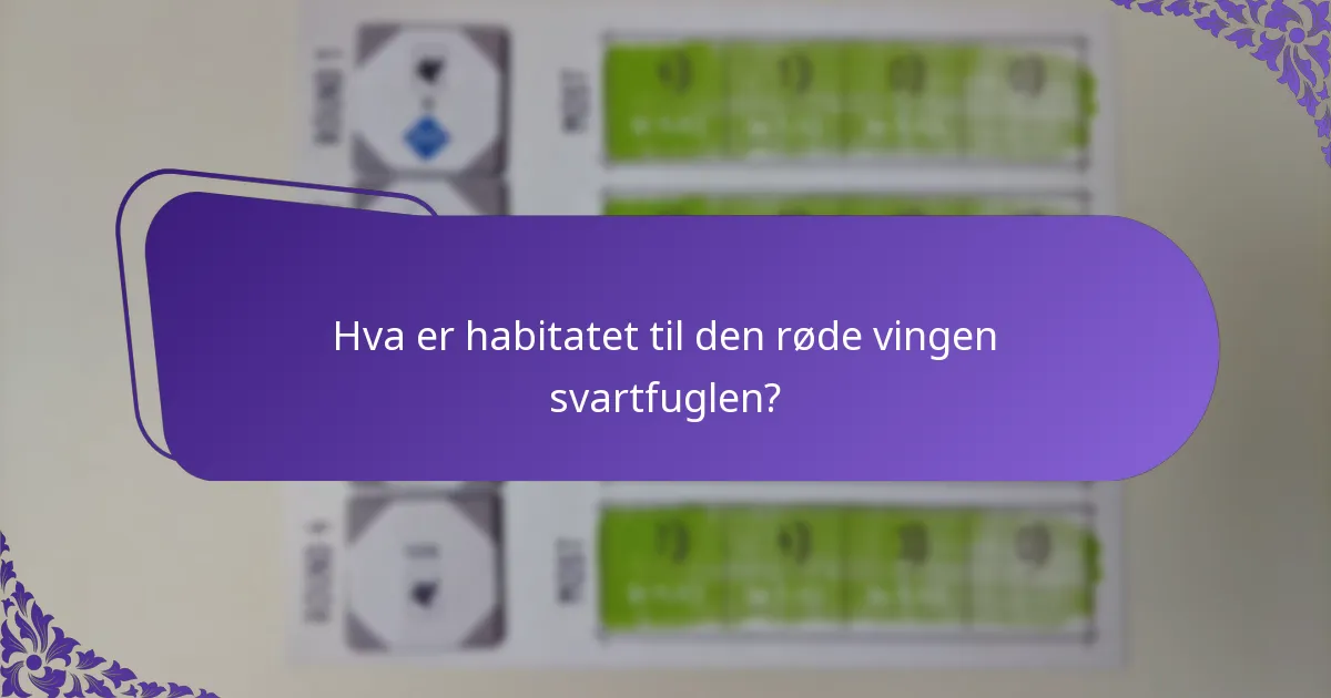 Hva spiser den røde vingen svartfuglen?