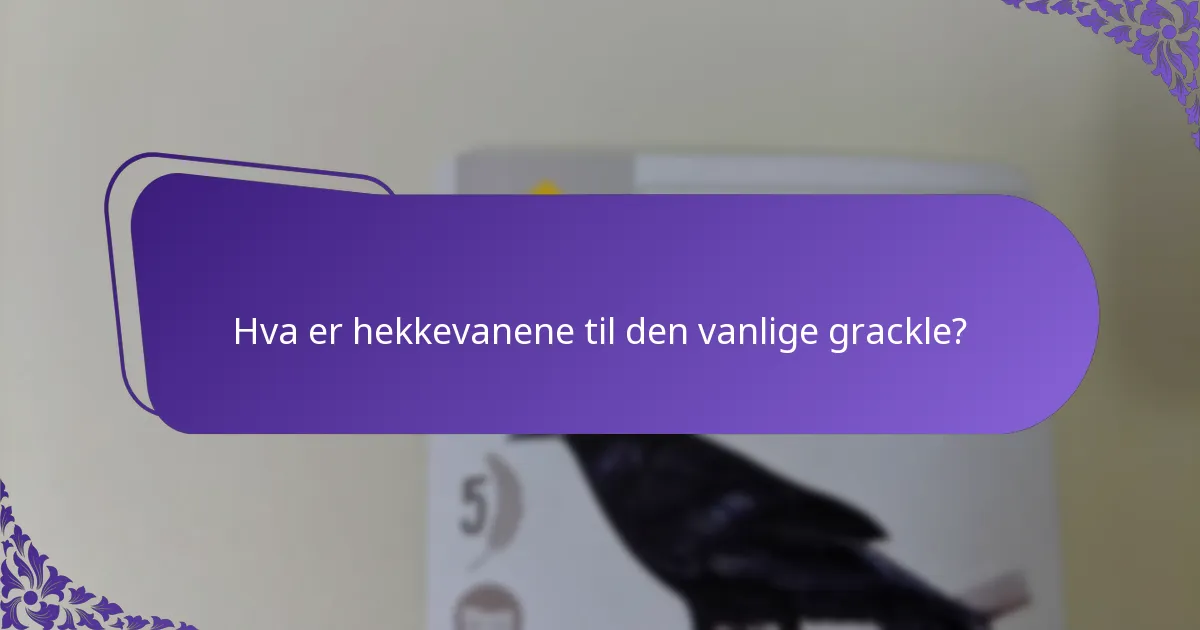 Hva er hekkevanene til den vanlige grackle?