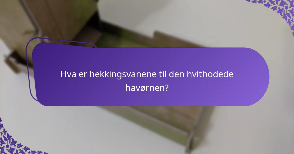 Hva er kostholdet til den hvithodede havørnen?
