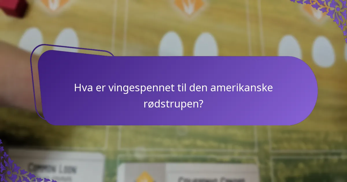 Hva er vingespennet til den amerikanske rødstrupen?