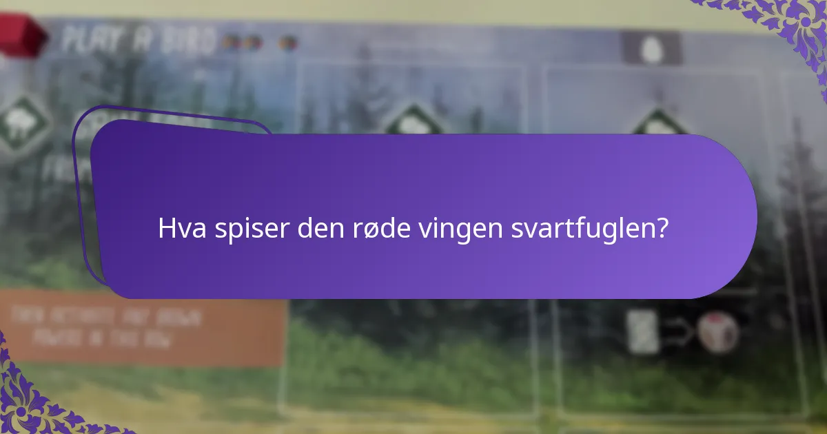 Hvordan tilpasser den røde vingen svartfuglens atferd seg til miljøendringer?