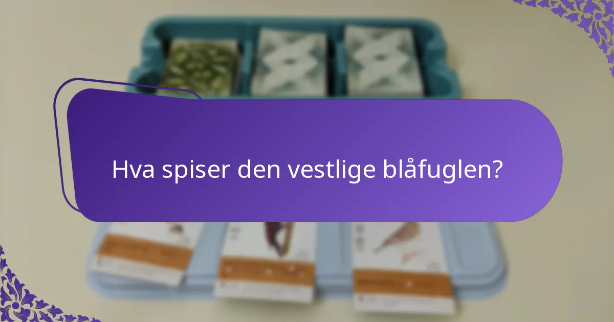 Hvordan hekker vestlige blåfugler?