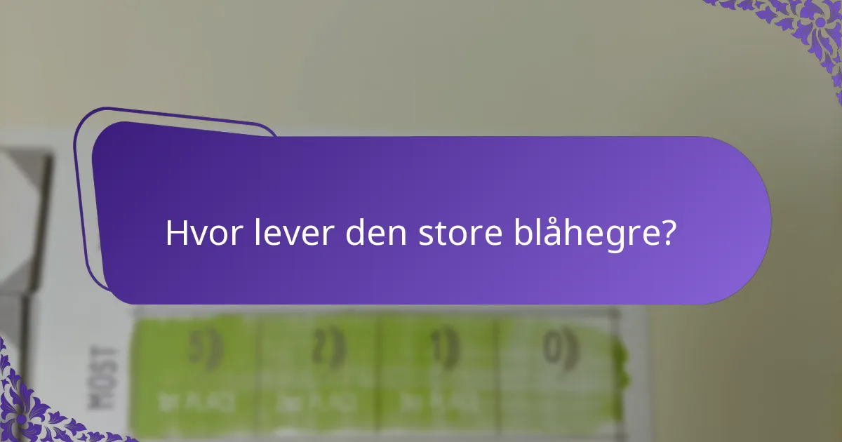 Hva er bevaringsbekymringene for den store blåhegre?